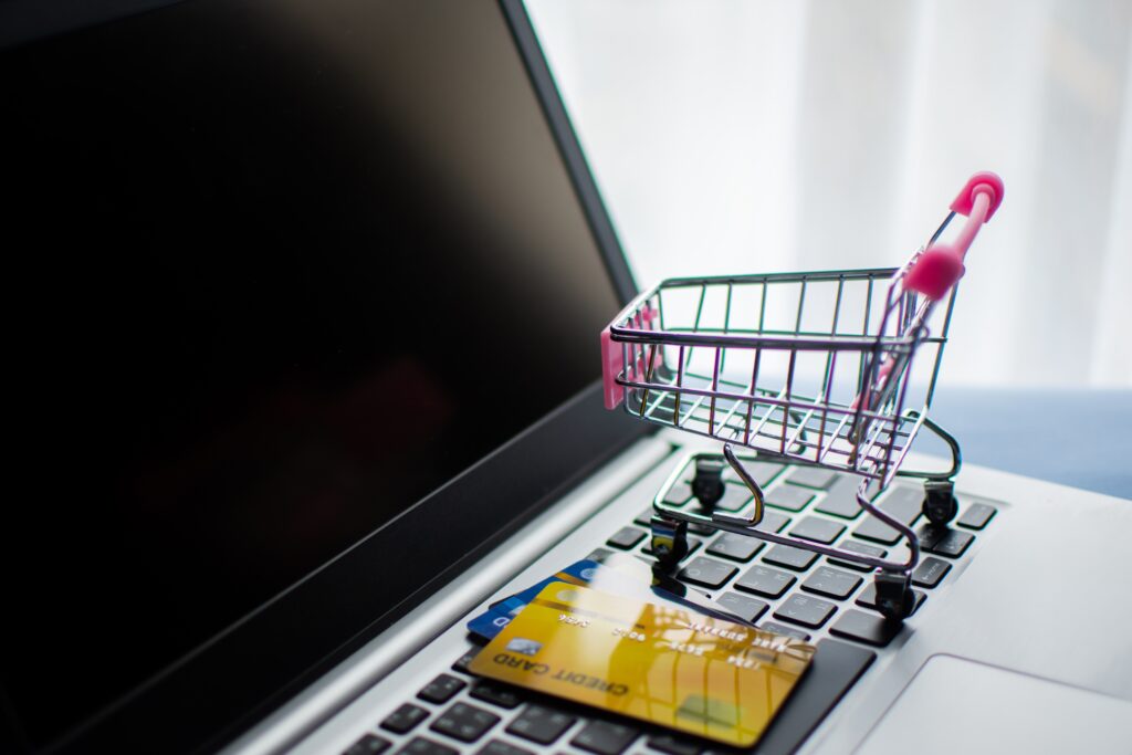 E-Commerece Services in Chennai